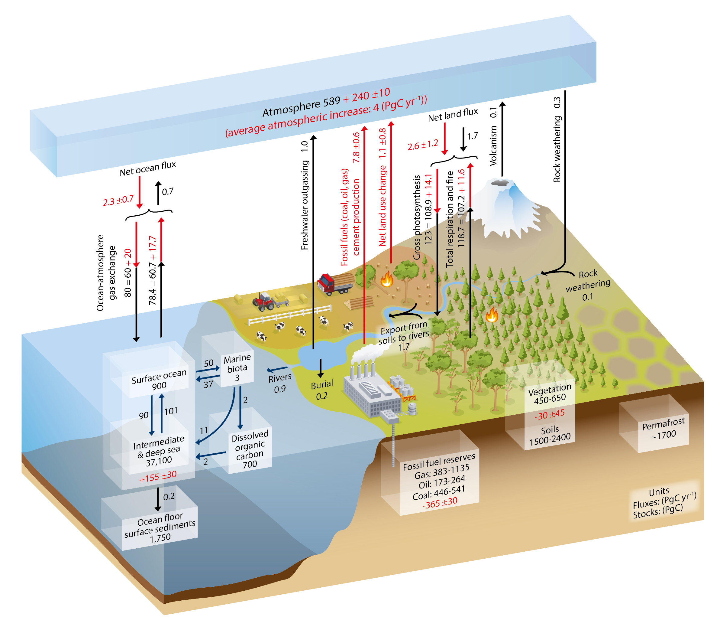 Diagram depicting the carbon cycle, showing various sources and sinks of carbon, including oceans, vegetation, fossil fuels, and atmospheric processes.