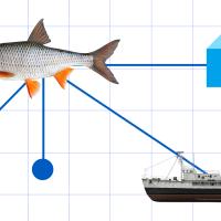 a fish and a boat are shown in a diagram.