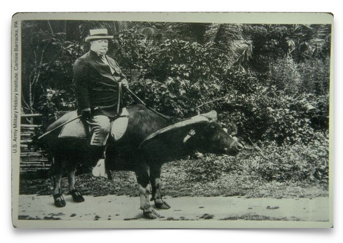 Black-and-white photo of a man wearing a hat and suit, sitting on a water buffalo on a dirt path, with dense vegetation in the background.