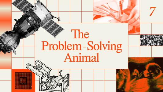 A collage of scientific and technological images surrounds the text "The Problem-Solving Animal" and the number 7 on a grid-patterned background.