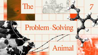 A collage featuring cows, a molecule model, charts, machinery, and the text "The Problem-Solving Animal" with the number 7 on a grid background.