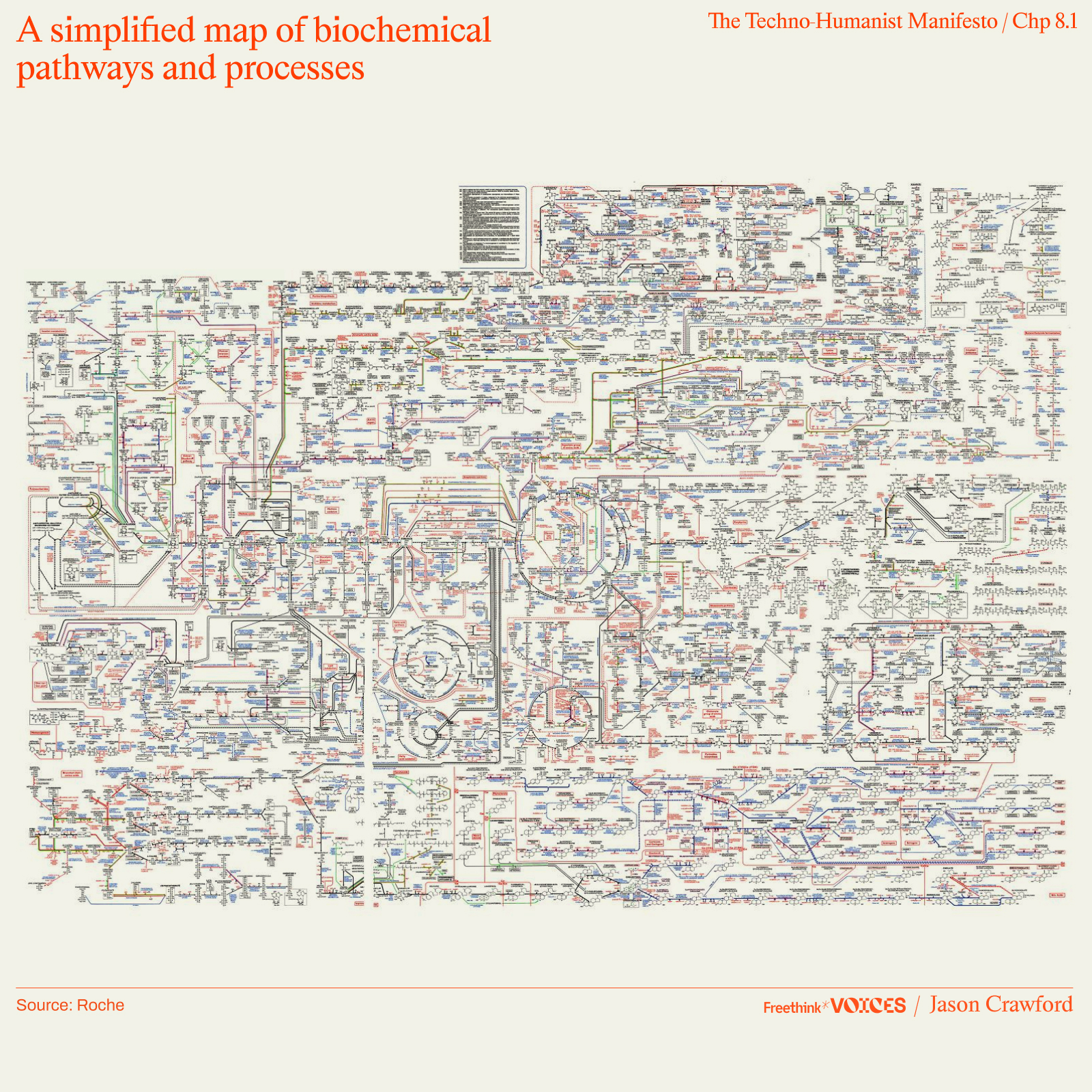 A complex, detailed diagram of interconnected biochemical pathways and processes, labeled "A simplified map of biochemical pathways and processes." Source: Roche.