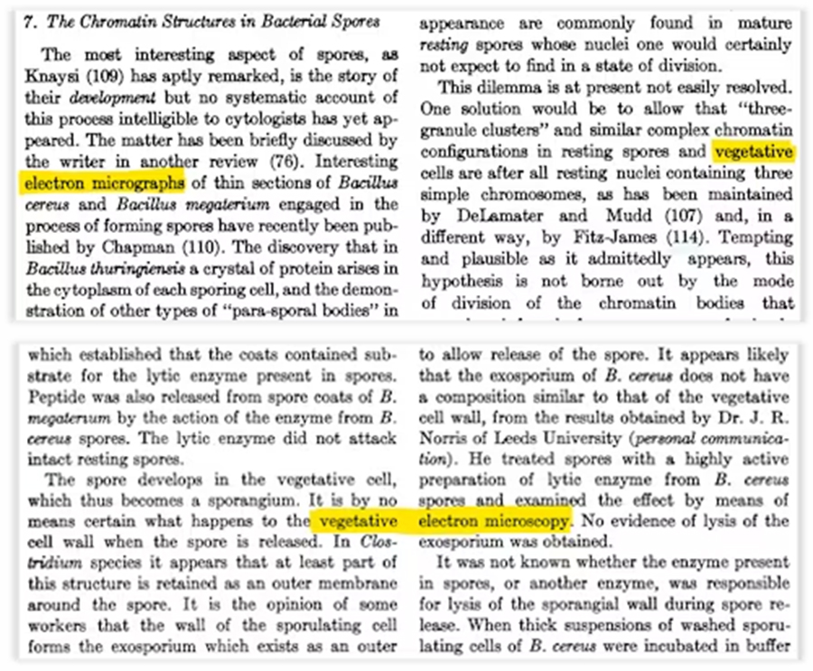 A scientific text highlights sections discussing vegetative electron microscopy and vegetative cells in bacterial spores, with key phrases underlined and highlighted in yellow&mdash;offering insights akin to studying digital fossils.