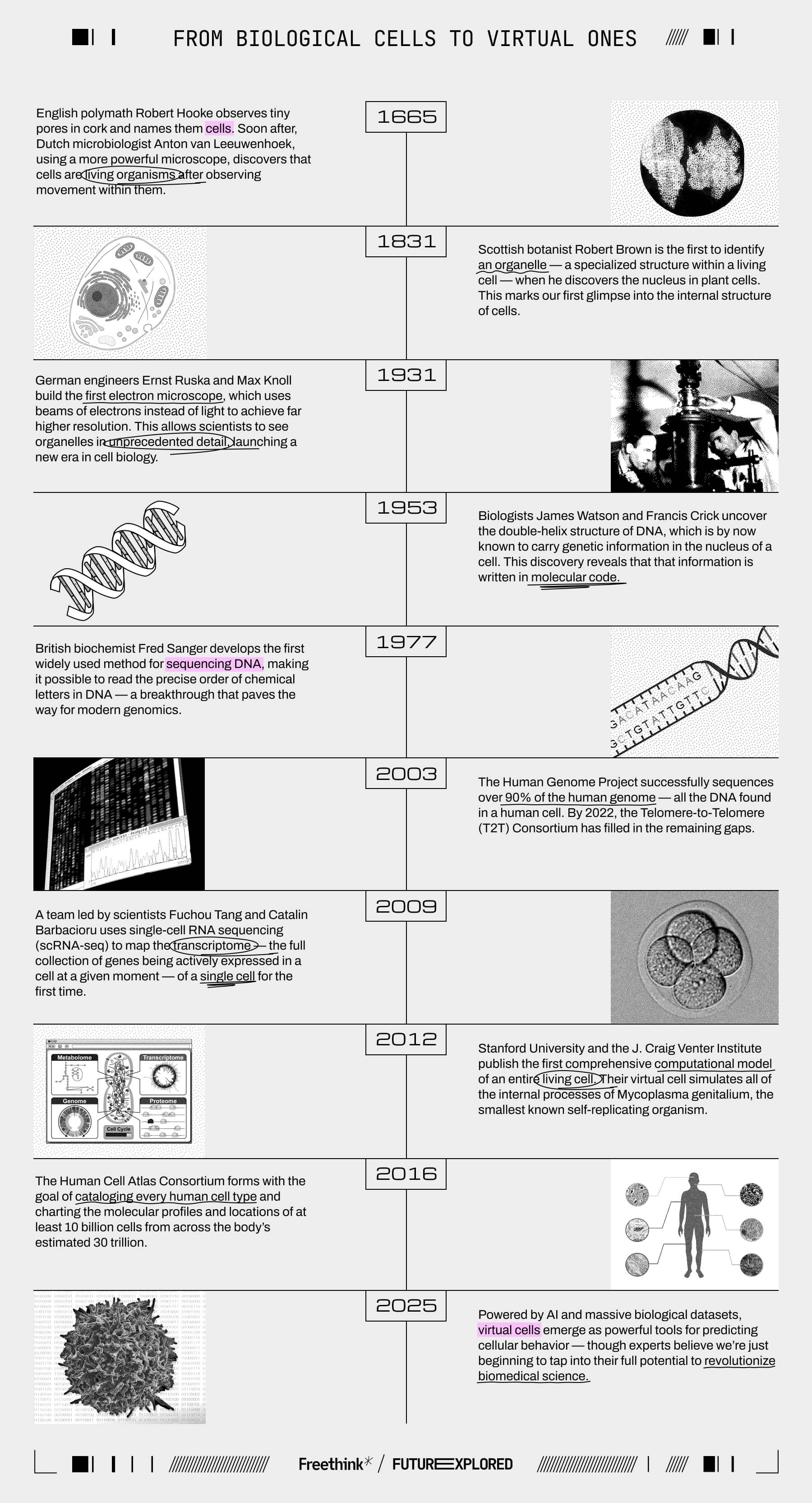 1665 - English polymath Robert Hooke observes tiny pores in cork and names them cells. Soon after, Dutch microbiologist ​​Anton van Leeuwenhoek, using a more powerful microscope, discovers that cells are living organisms after observing movement within them. 1831 - Scottish botanist Robert Brown is the first to identify an organelle &mdash; a specialized structure within a living cell &mdash; when he discovers the nucleus in plant cells. This marks our first glimpse into the internal structure of cells. 1931 - German engineers Ernst Ruska and Max Knoll build the first electron microscope, which uses beams of electrons instead of light to achieve far higher resolution. This allows scientists to see organelles in unprecedented detail, launching a new era in cell biology. 1953 - Biologists James Watson and Francis Crick uncover the double-helix structure of DNA, which is by now known to carry genetic information in the nucleus of a cell. This discovery reveals that that information is written in molecular code. 1977 &ndash; British biochemist Fred Sanger develops the first widely used method for sequencing DNA, making it possible to read the precise order of chemical letters in DNA &mdash; a breakthrough that paves the way for modern genomics. 2003 - The Human Genome Project successfully sequences over 90% of the human genome &mdash; all the DNA found in a human cell. By 2022, the Telomere-to-Telomere (T2T) Consortium has filled in the remaining gaps. 2009 - A team led by scientists Fuchou Tang and Catalin Barbacioru uses single-cell RNA sequencing (scRNA-seq) to map the transcriptome &mdash; the full collection of genes being actively expressed in a cell at a given moment &mdash; of a single cell for the first time. 2012 - Stanford University and the J. Craig Venter Institute publish the first comprehensive computational model of an entire living cell. Their virtual cell simulates all of the internal processes of Mycoplasma genitalium, the smallest known self-replicating organism. 2016 - The Human Cell Atlas Consortium forms with the goal of cataloging every human cell type and charting the molecular profiles and locations of at least 10 billion cells from across the body&rsquo;s estimated 30 trillion. 2025 - Powered by AI and massive biological datasets, virtual cells emerge as powerful tools for predicting cellular behavior &mdash; though experts believe we&rsquo;re just beginning to tap into their full potential to revolutionize biomedical science.